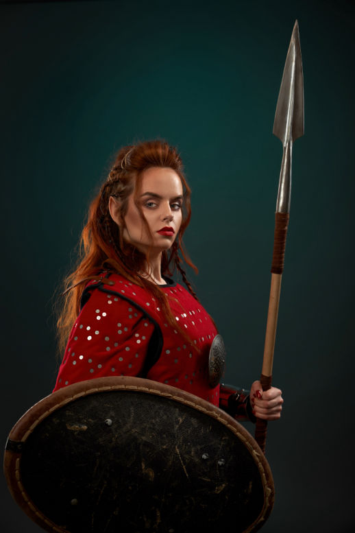 Viking steel meden with spear and shield 